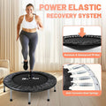 TRAMPOLÍN PROFESIONAL PARA EJERCICIO